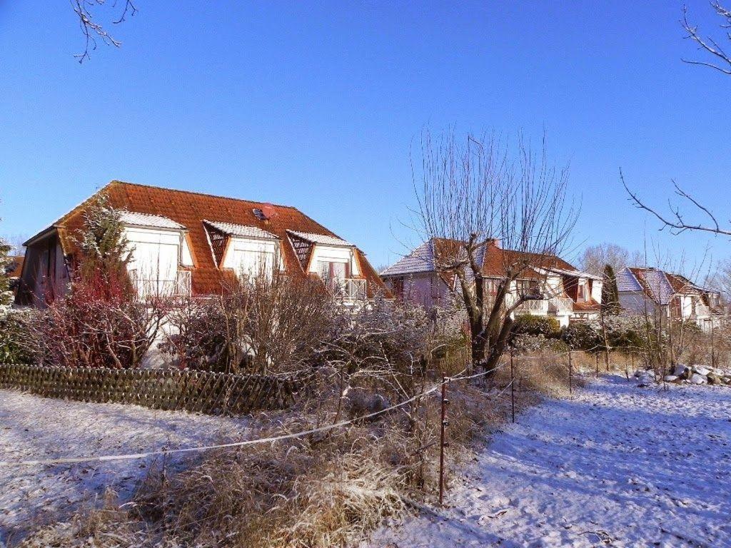 Ferienwohnung-Nils-Holgerson-Mit-Balkon-Zwischen-Strand-Wald-Wiese-Im-Suedosten-Der-Insel-Ruegen Gustow  외부 사진