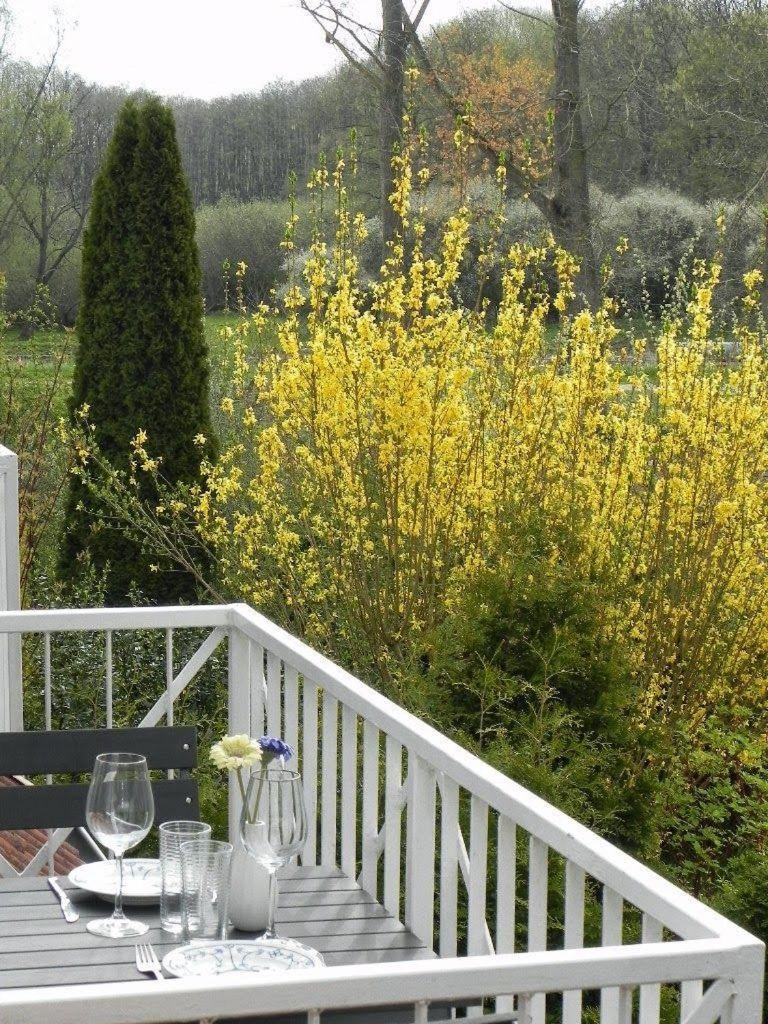 Ferienwohnung-Nils-Holgerson-Mit-Balkon-Zwischen-Strand-Wald-Wiese-Im-Suedosten-Der-Insel-Ruegen Gustow  외부 사진